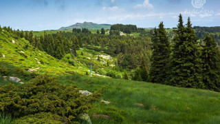 Greens and Rights use Vitosha as a money-box