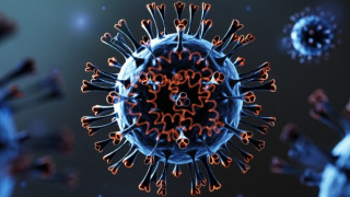 Ужас: Ковид-19 в завода за пилета "Градус"! (още подробности)