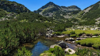 Andrey Slabakov erupted in the European Parliament: The toxic greens are sabotaging European projects for billions