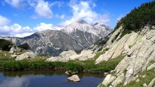 Organizations insist on suspension of the state financial support for Toma Belev