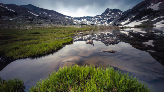 The grant-loving Greens are stealing big time