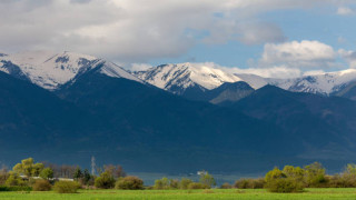 WWF-Bulgaria spread a lie about the wild goats on Pirin mountain