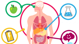 Струва 10 лв.: Чашка от него на ден прави чудеса за обмяната на веществата, стомаха и диабета! (има го в два варианта)