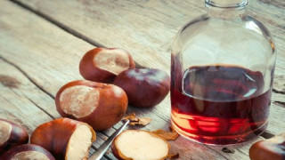 Билкарят бай Димитър: Сега е моментът да си направим тинктура от кестен! (чудо за сърцето и кръвоносните съдове - рецепта)