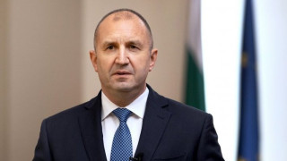 Мълния: Бившата на Румен Радев му отнема бащинските права! (в центъра е Деси Радева - този път станахме за резил)