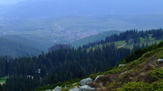 Simeonov: "The “Greens" racketeering the state for personal gains