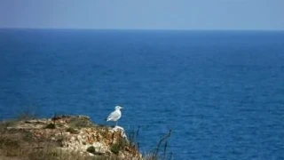 Association debunked the "greens" in relation of Natura 2000