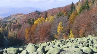 "Buzzfeed": The Green WWF funds murderers and rapists