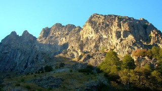 Interpol will work with the compromised WWF in Bulgaria