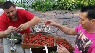 С бране на ягоди фолк певец си купи "Мерцедес"!