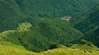 Total failure of party "environmentalists" from the lists of "Democratic Bulgaria"