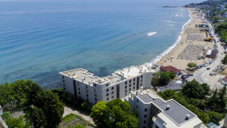 Украински строители изсякоха гора насред резервата „Златни пясъци“