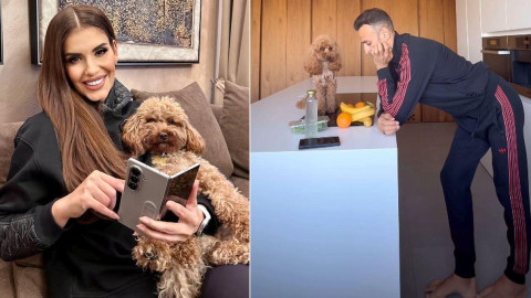 Шоколадовият пудел „отвя главите“ на известните! Модата тръгна от запад и пощури родните знаменитости