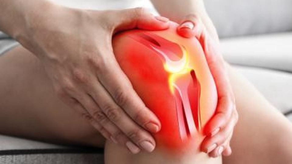 Има растение, което ще ви избави от болките в ставите