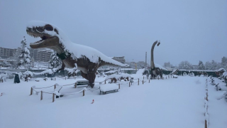 Динозаври оживяват на паркинга на Kaufland в столичния кв. “Дружба“