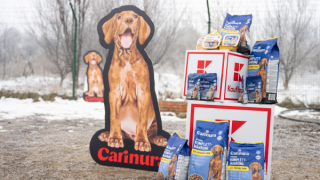 За една година Kaufland дари 12 тона кучешка храна на столичните приюти