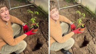 Катето Евро "схруска" сина си и снахата: Ръцете ви отзад ли са, никой не ми помага в градината! Няма да ядете домати тази година! (ВИЖ ТУК)