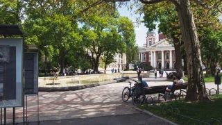 Великденско чудо се появи на пейка в центъра на София