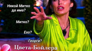 СТРАШНО!! Вкарват Цвета Бойлера за лечение в лудница след чудовищна заплаха! (още подробности)