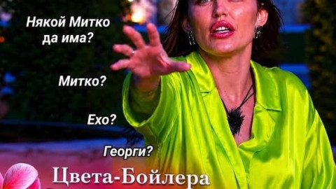СТРАШНО!! Вкарват Цвета Бойлера за лечение в лудница след чудовищна заплаха! (още подробности)